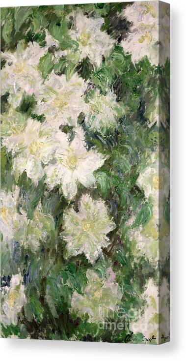 White Clematis Canvas Print featuring the painting White Clematis by Claude Monet