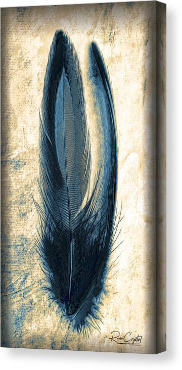 Feathers Canvas Print featuring the photograph Feather Of A Blue Hue by Rene Crystal
