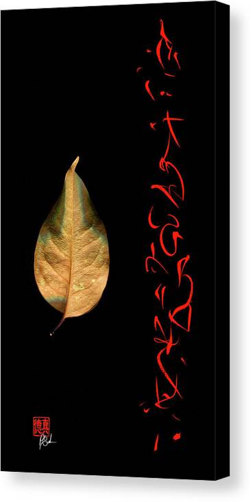 Leaf Canvas Print featuring the mixed media Impermanence by Peter Cutler