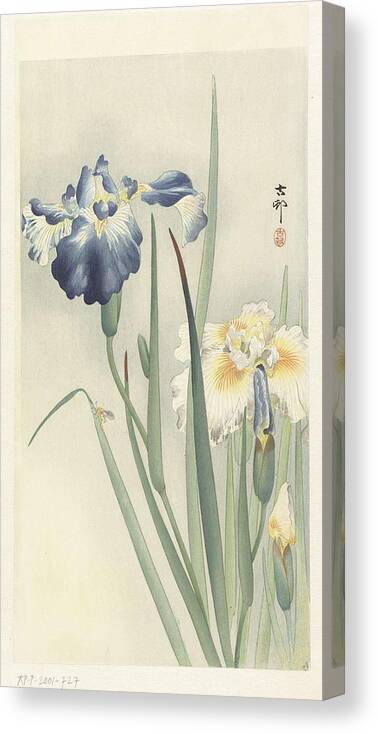 Flower Canvas Print featuring the painting Irissen, Ohara Koson, 1900 - 1936 b by Ohara Koson