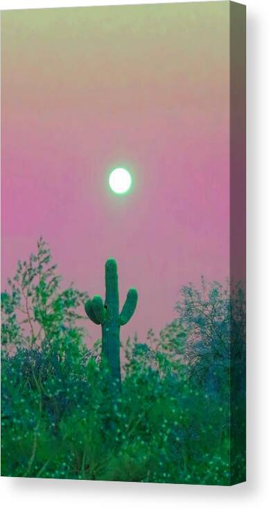 Desert Canvas Print featuring the photograph Cactus Full Moonrise in Aries by Judy Kennedy