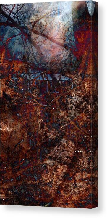 Abstract Canvas Print featuring the digital art Into The Woods by James Barnes