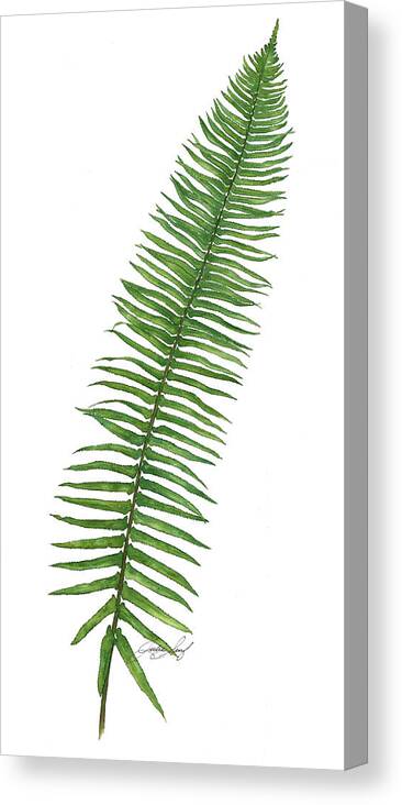 Fern Canvas Print featuring the painting Sword Fern by Julie Senf