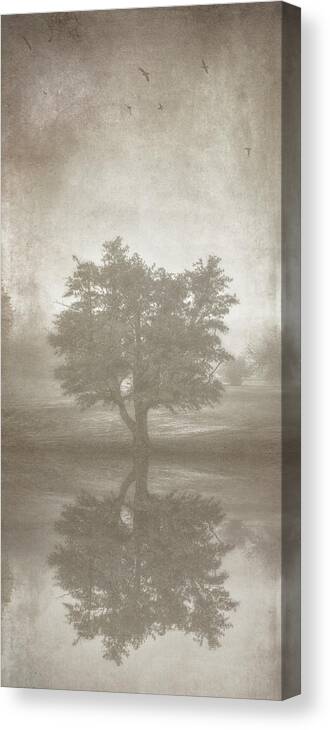 Tree Canvas Print featuring the photograph A Tree in the Fog 3 by Scott Norris