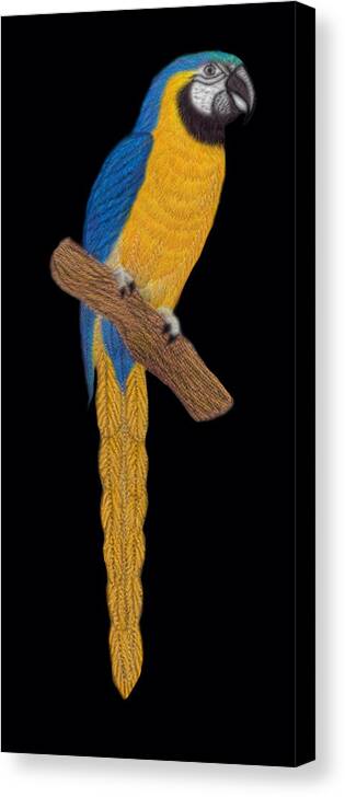 Macaw Parrot Canvas Print featuring the digital art Macaw Parrot by Walter Colvin