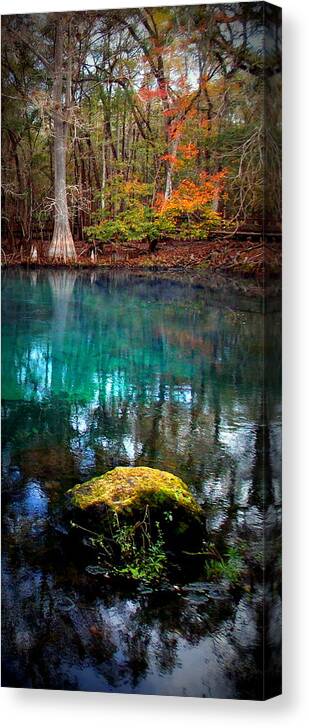Manatee Springs Chiefland Florida Canvas Print featuring the photograph Rainbow of Colors Manatee Springs1 by Sheri McLeroy