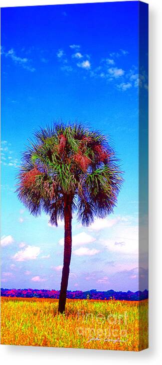 Wild Palms Canvas Print featuring the photograph Wild Palm 1 by John Douglas