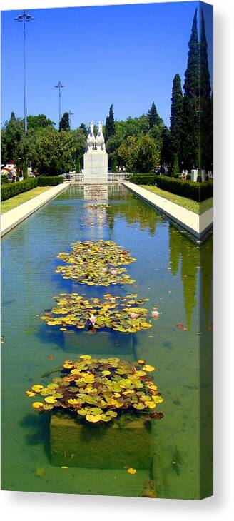 Pond Canvas Print featuring the photograph Pond by Roberto Alamino