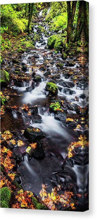 Salvation Creek Canvas Print featuring the photograph Salvation Creek in Columbia River Gorge by Vishwanath Bhat
