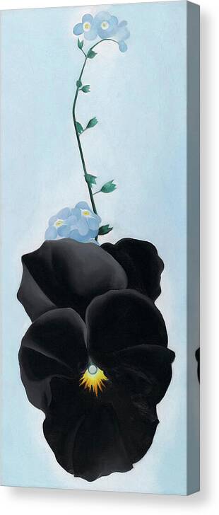 Georgia O'keeffe Canvas Print featuring the painting Black pansy with forget-me-nots - Modernist flower painting by Georgia O'Keeffe