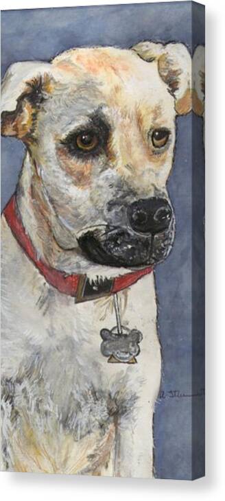 Pet Portrait Canvas Print featuring the painting Pit Bull Is Full by Alison Steiner