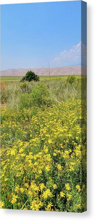 Flowers Canvas Print featuring the photograph Sand and Flowers by Ally White