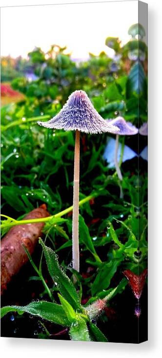 Canvas Print featuring the photograph Tiny world by Purna Shyam