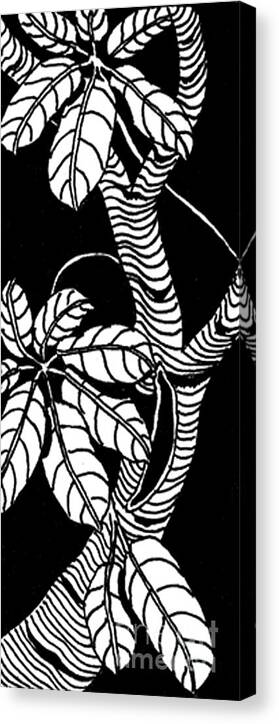 Wandering Leaves Octopus Tree Canvas Print featuring the drawing Wandering leaves Octopus Tree design by Mukta Gupta