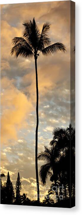 Palm Tree Sunset Canvas Print featuring the photograph Palm Tree Sunset Hana Hawaii by Dustin K Ryan