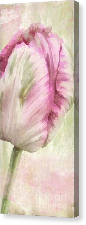 Parrot Tulip Canvas Print featuring the painting Shy II by Mindy Sommers