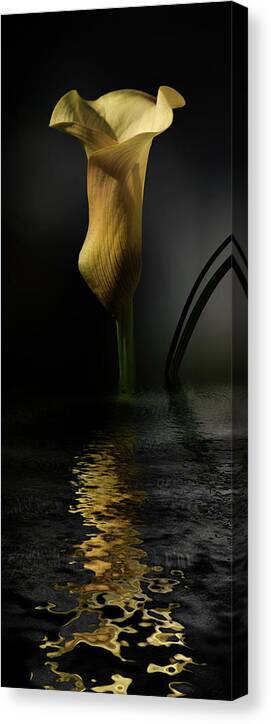 Calla Lily Canvas Print featuring the digital art Yellow and Gray by JGracey Stinson
