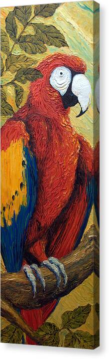 Macaw Canvas Print featuring the painting Macaw by Paris Wyatt Llanso