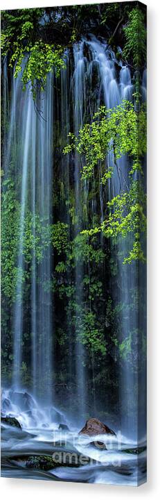 Mossbrae Canvas Print featuring the photograph Mossbrae Falls by Peter Dang