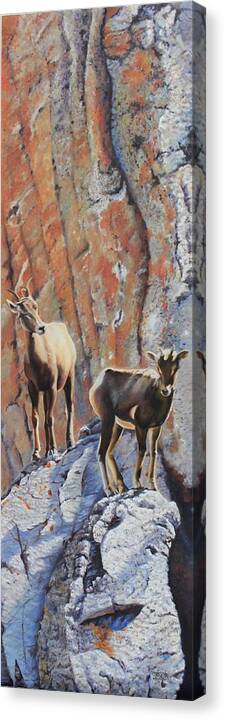 Big Horn Sheep Canvas Print featuring the painting Mountain Climbers by Tammy Taylor