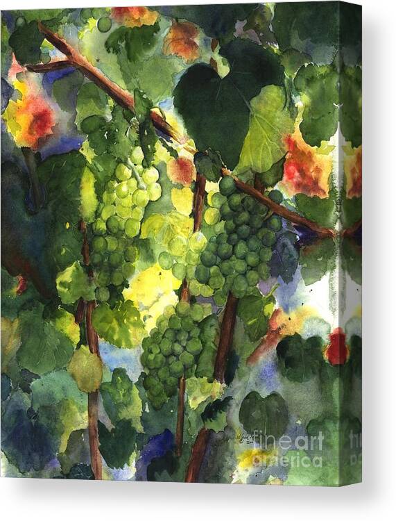 Green Grapes Canvas Print featuring the painting Chardonnay au Soliel by Maria Hunt