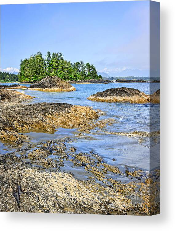 Pacific Canvas Print featuring the photograph Coast of Pacific ocean on Vancouver Island 6 by Elena Elisseeva