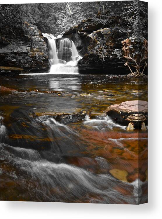 Color Canvas Print featuring the photograph Coming to Life #1 by Frozen in Time Fine Art Photography
