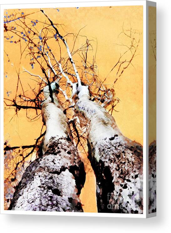 Unique Wedding Gift Canvas Print featuring the photograph Growing old together #1 by Gina Signore