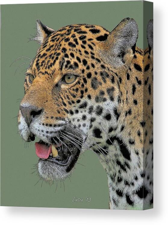 Jaguar Canvas Print featuring the digital art Jaguar Portrait #1 by Larry Linton