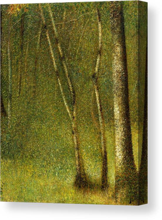 Georges Seurat Canvas Print featuring the painting The Forest at Pontaubert #1 by Georges Seurat