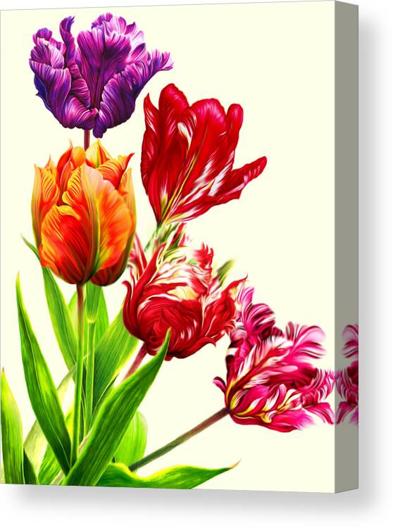 Colorful Tulips Canvas Print featuring the mixed media Tulips by Anthony Seeker
