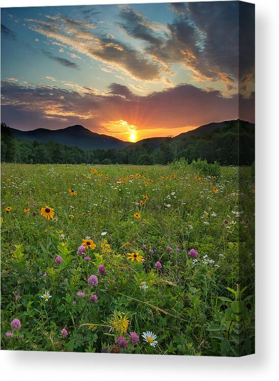 Landscape Canvas Print featuring the photograph Wildflower Sunset #1 by Darylann Leonard Photography