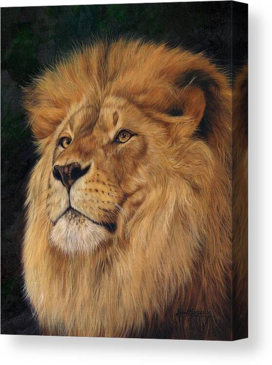 Lion Canvas Print featuring the painting Lion #11 by David Stribbling