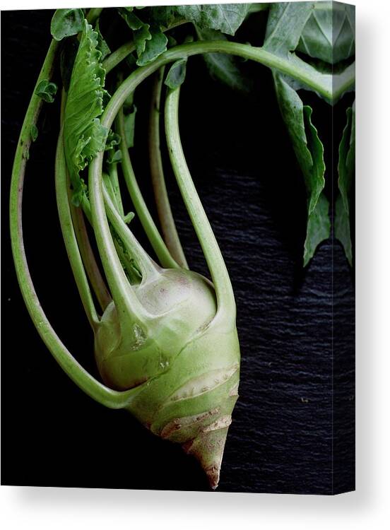 Vegetables Canvas Print featuring the photograph A Kohlrabi by Romulo Yanes