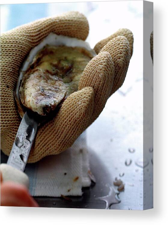 Cooking Canvas Print featuring the photograph An Oytser Being Shucked by Romulo Yanes