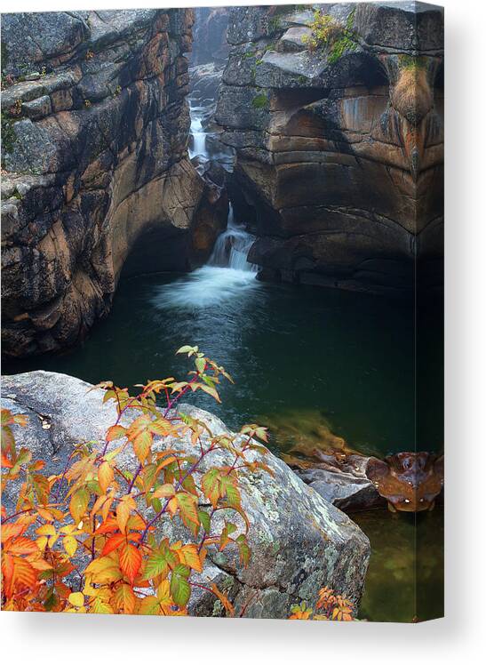 Autumn Colors Canvas Print featuring the photograph Autumn at the Grotto by Jim Garrison