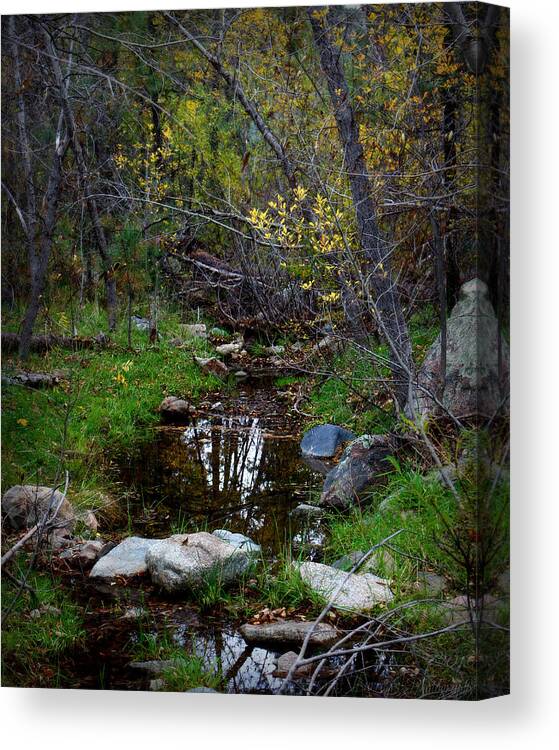 Prescott National Forest Canvas Print featuring the photograph Autumn Forest Stream by Aaron Burrows
