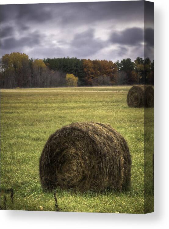 Fall Canvas Print featuring the photograph Autumn Harvest by Thomas Young