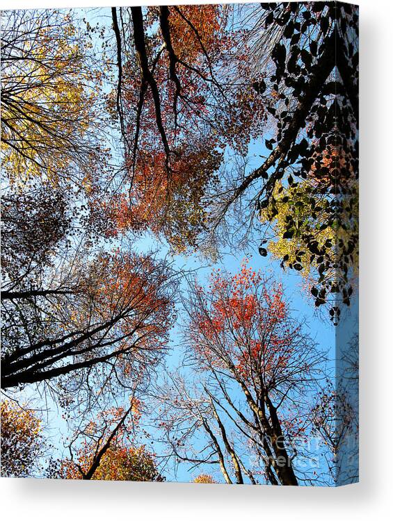 Autumn Canvas Print featuring the photograph Autumn Leaves 2011 Season by Tina M Wenger