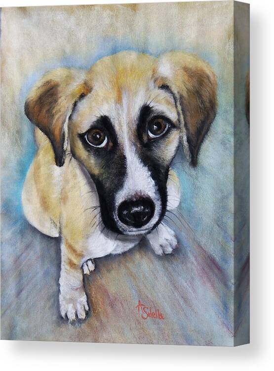 Puppies Canvas Print featuring the painting Baby Addie by Annamarie Sidella-Felts