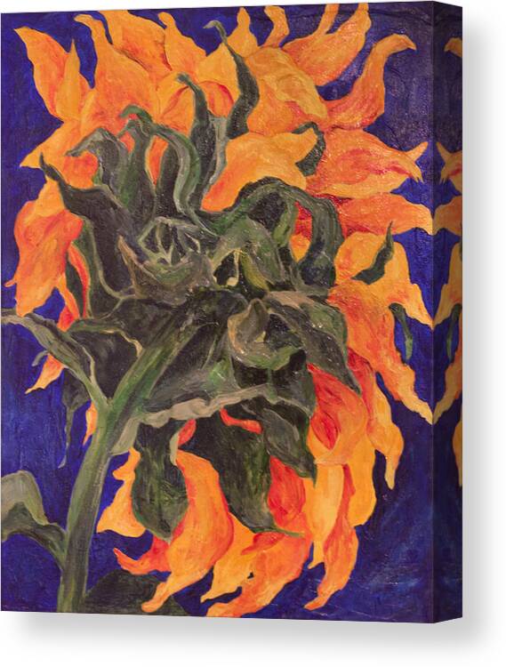 Sunflower Canvas Print featuring the painting Back of Sunflower by Sally Quillin