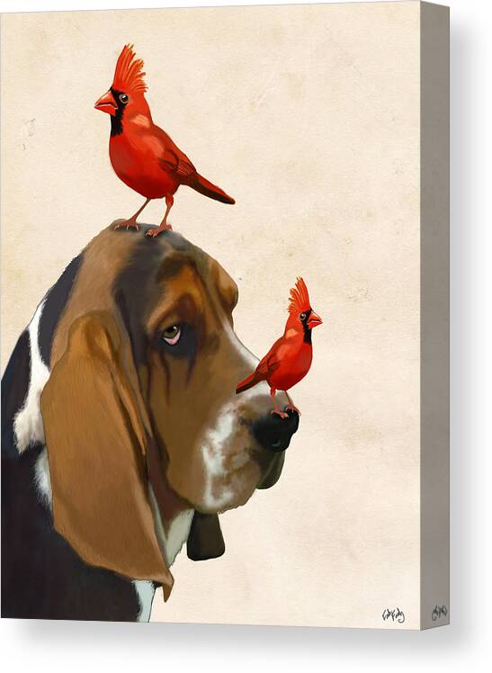 Praktisk Lykkelig tjener Basset Hound and Red Birds Canvas Print / Canvas Art by Kelly  Stevens-McLaughlan - Pixels Canvas Prints