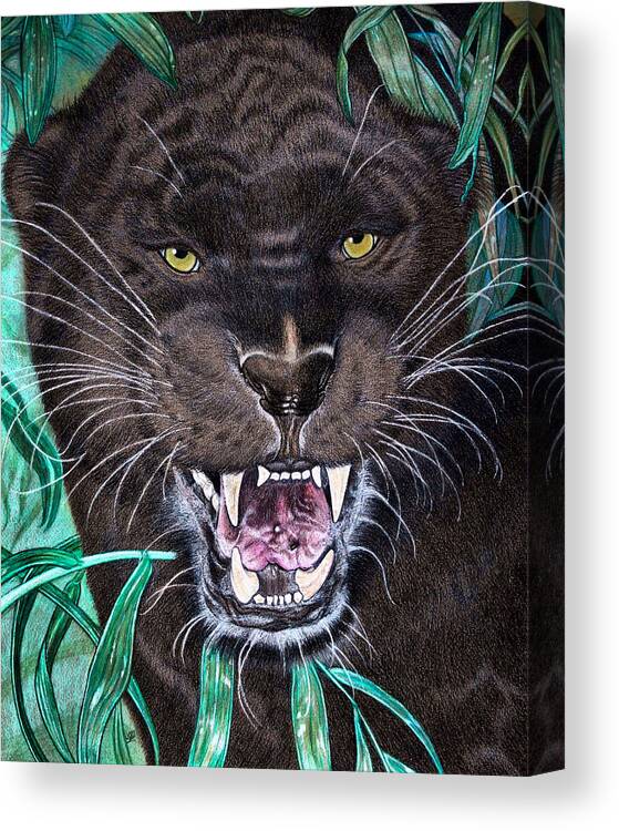 Black Panther Canvas Print featuring the drawing Bastet by Jo Prevost
