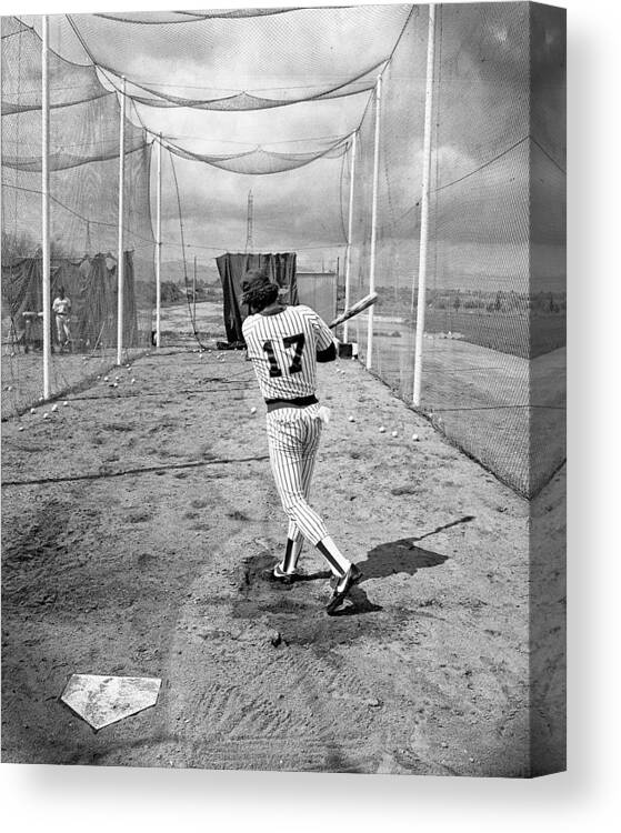 Baseball Canvas Print featuring the photograph Batting Cage by Jim Painter