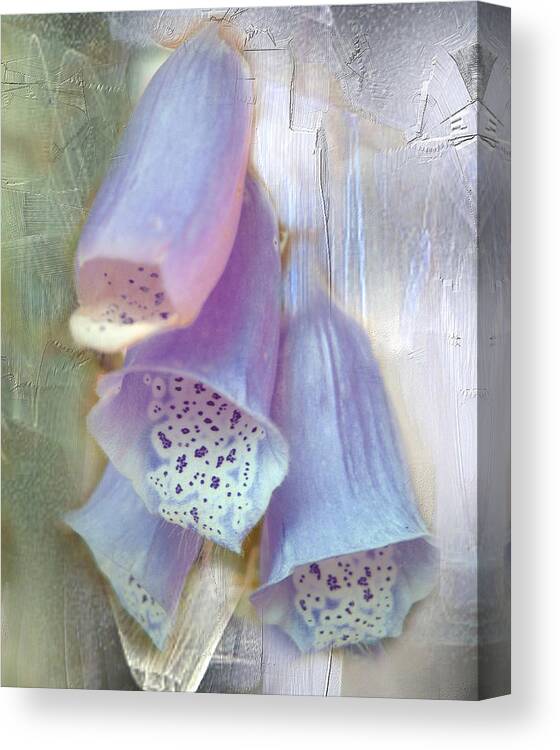 Foxglove Canvas Print featuring the photograph Bells by Davina Nicholas