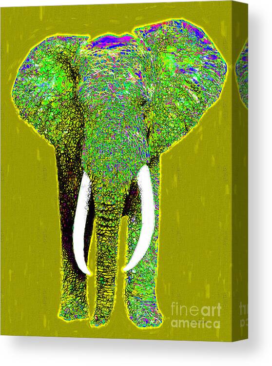 Elephant Canvas Print featuring the photograph Big Elephant 20130201p60 by Wingsdomain Art and Photography