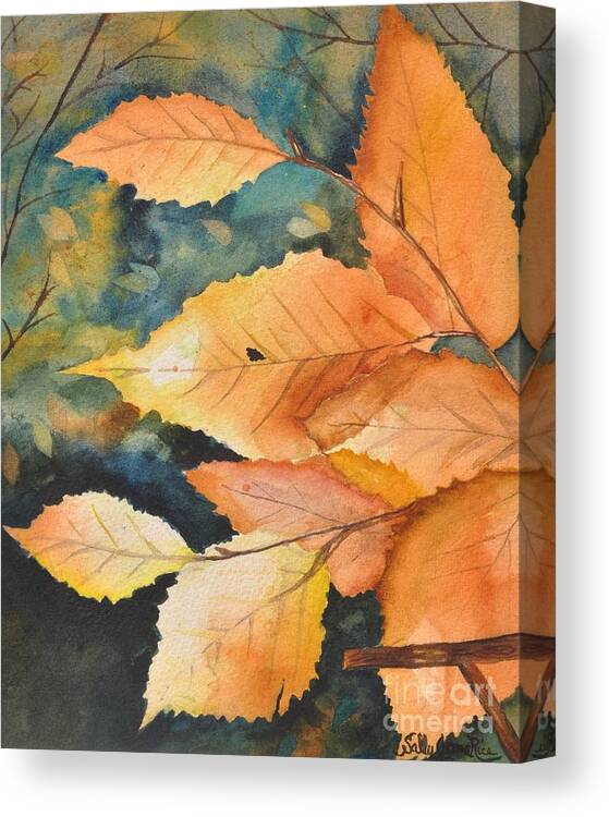 Watercolor Canvas Print featuring the painting Birch Leaves by Sally Tiska Rice