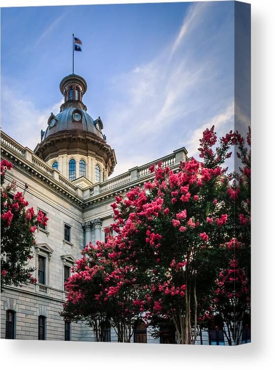 1903 Canvas Print featuring the photograph Blossoms At The State House by Traveler's Pics