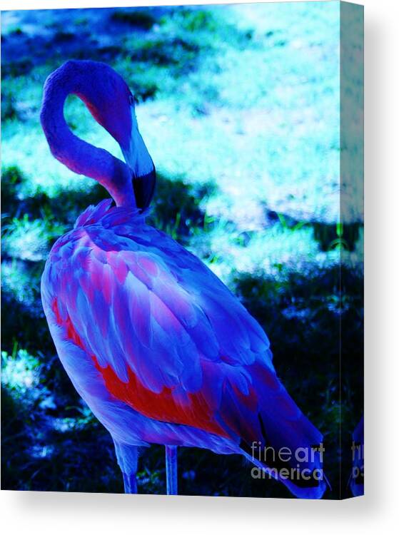 Green Blue Flamingo Floral Portrait Animal Canvas Wall Art Picture Prints 