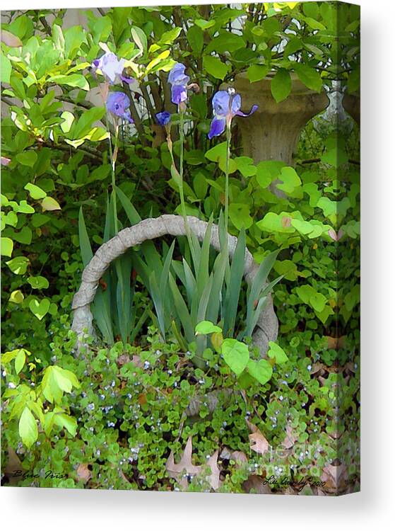 Paris Canvas Print featuring the photograph Blue Iris by Lee Owenby